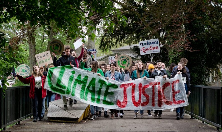 Купить диплом эколога в Петушках